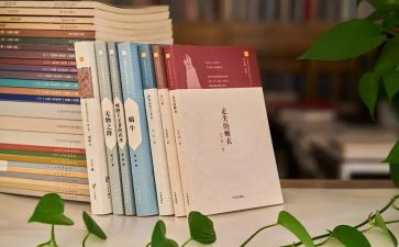 个人总结暨述职报告优秀7篇