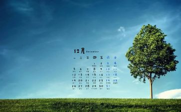12月大班教育心得体会6篇