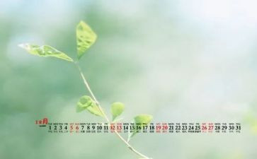 幼儿中班12月工作计划5篇