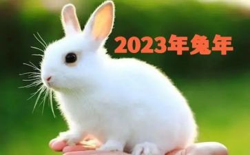 2023广告市场调研报告6篇
