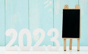 2023百年建党心得体会5篇