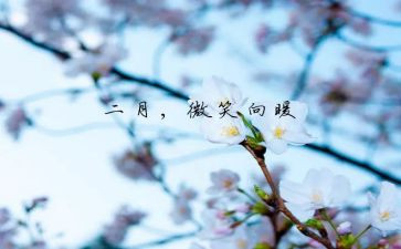 大班2月份工作计划5篇