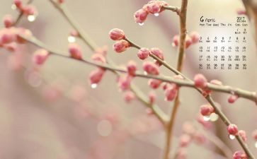 4月园务工作总结精选7篇