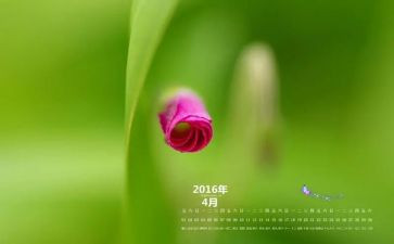 幼儿园4月份中班工作总结8篇