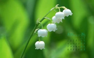4月份党日心得体会7篇