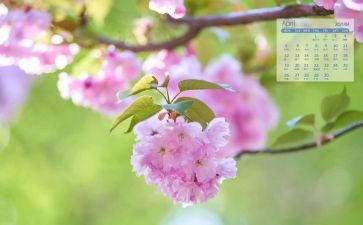 销售4月工作总结5篇