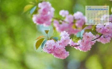 销售4月份工作计划5篇