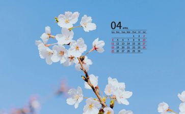班主任4月份工作总结7篇