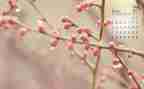 4月园务工作总结精选7篇