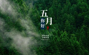 小小班5月份工作总结7篇