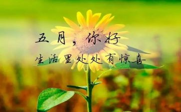 5月总结精选6篇