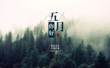 5月总结5篇
