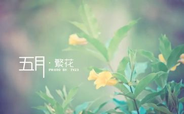 幼儿园大班5月份工作计划8篇