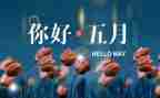 幼儿园教师5月份工作总结7篇