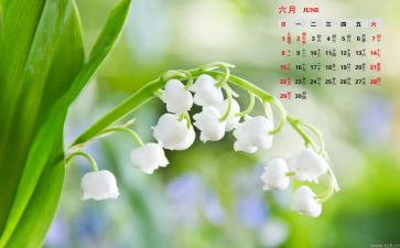 6月份班主任工作总结5篇
