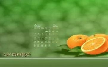 6月幼儿园工作总结6篇
