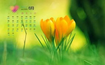 6月份销售工作计划8篇