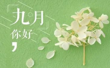 幼儿园9月份工作总结精选8篇