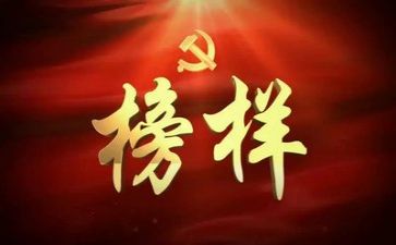 观学榜样心得体会5篇