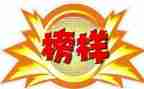 榜样5心得体会7篇