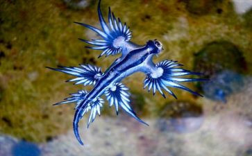高中生物年度总结精选6篇