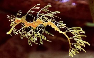 生物备课组长工作计划6篇