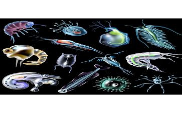 生物实验室工作计划8篇