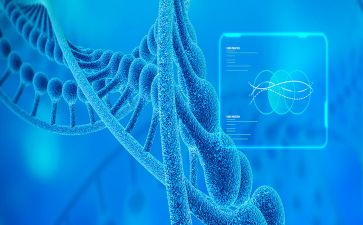 高中生物年度总结5篇