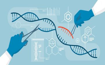 初一生物下册教学计划6篇