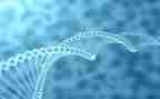 生物实验工作计划7篇