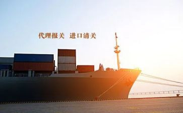 2024年报关工作总结6篇