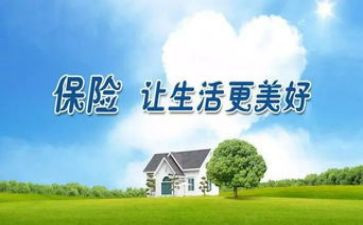 保险年度述职报告5篇