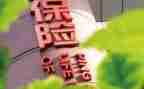 保险客服的工作总结6篇