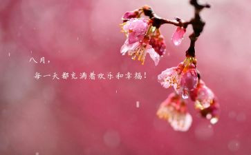 八月份的工作总结推荐6篇