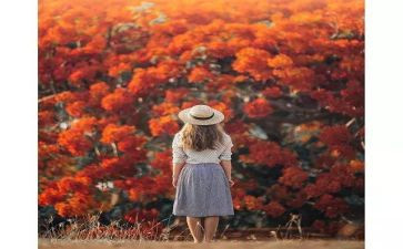 悲伤优秀作文7篇