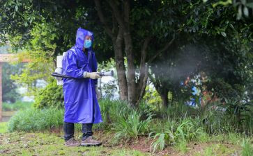 2024年病媒生物工作总结8篇