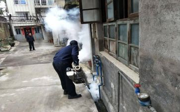 病媒防治工作总结5篇