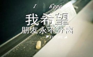毕业照优秀作文优质8篇