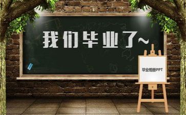 毕业自我鉴定300字范文精选6篇
