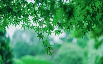 爱不能等待作文6篇