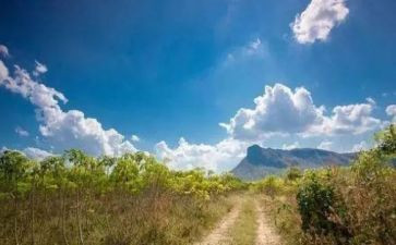 我不怕黑健康教案6篇