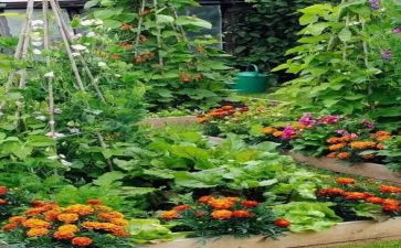 端午湘菜活动方案策划7篇