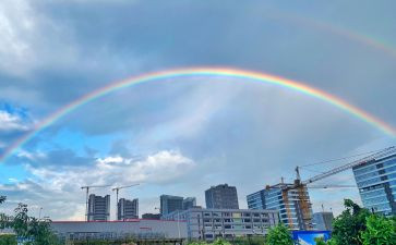 彩虹屋教案7篇