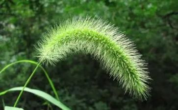 烟草2024工作总结6篇