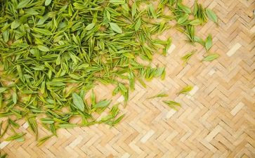 与茶有关的读后感作文600字6篇