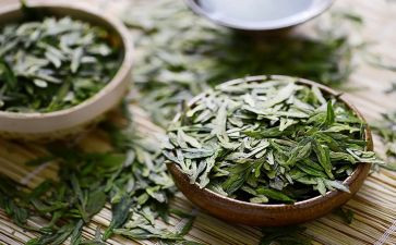 茶专题作文优质5篇