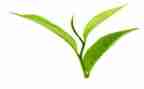 奶茶店的活动方案7篇