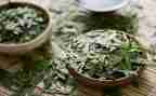 茶艺社心得体会优秀7篇