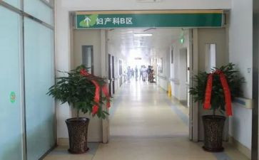 产科的个人述职报告推荐6篇