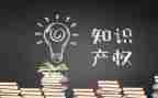 知识产权日活动总结模板8篇